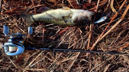 ひさしぶりのバス！