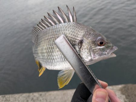 キス狙いのはずが