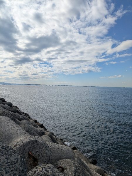 ハードジギング