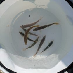 ハードジギングパート2