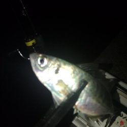 フロートゲーム~