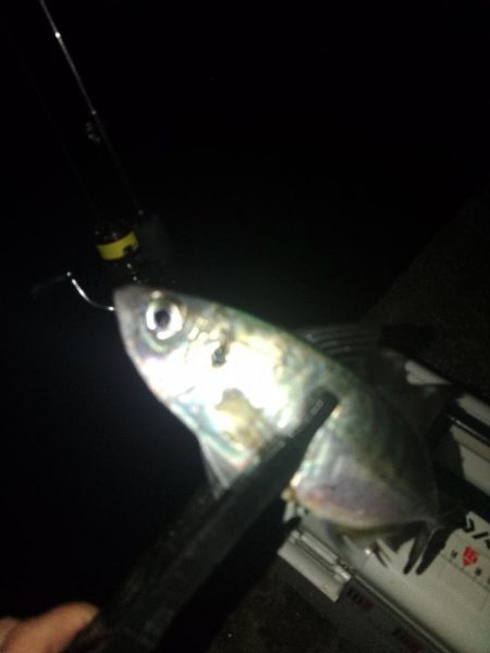 フロートゲーム~