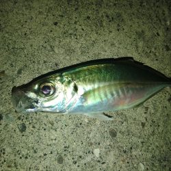 フロートゲーム～