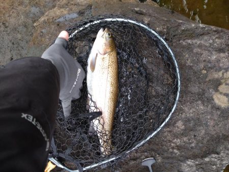 バス釣りからのトラウトフィッシング