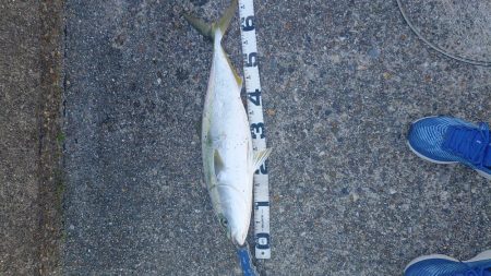 お久しぶりです！