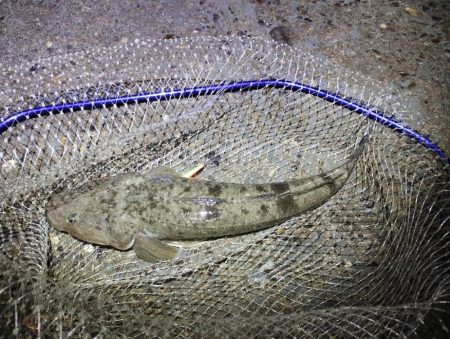 諦めて帰らんでよかった。