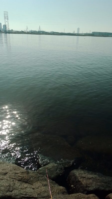 マハゼ〜渋い…