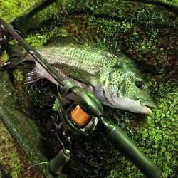 しごおわ初冬チニング