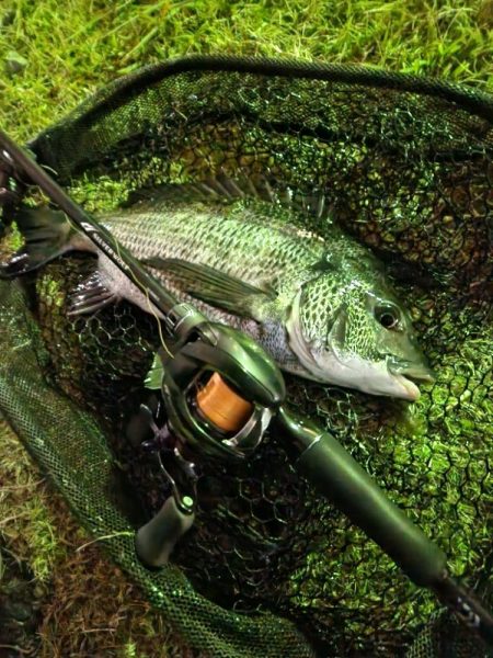 しごおわ初冬チニング