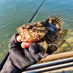 広島呉地区開拓