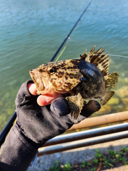 広島呉地区開拓