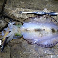 久しぶりの釣行