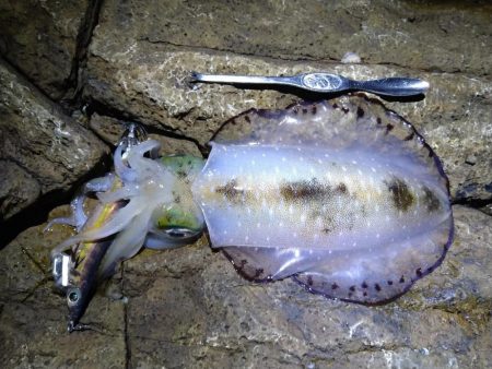 久しぶりの釣行