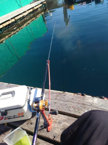 海上釣り堀
