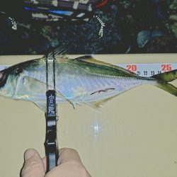 サーフフロートアジング