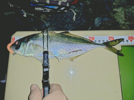 サーフフロートアジング