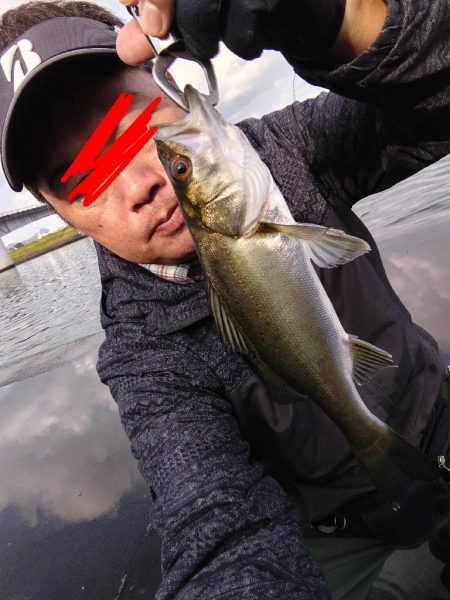 シーバスフィッシング