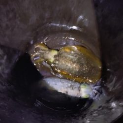 極寒ティップラン