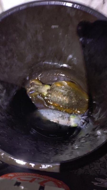 極寒ティップラン