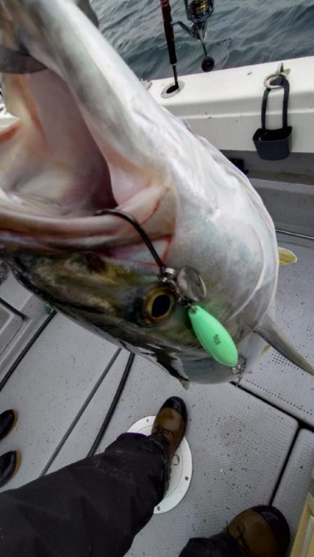 初の家族でのライトジギング