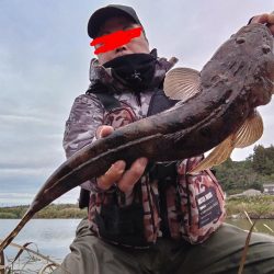 マゴチとソゲが釣れました!