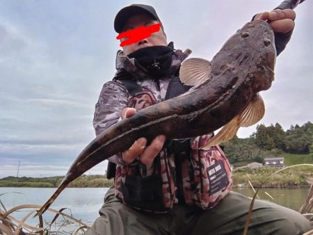 マゴチとソゲが釣れました!