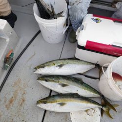 今季最後のライトジギング