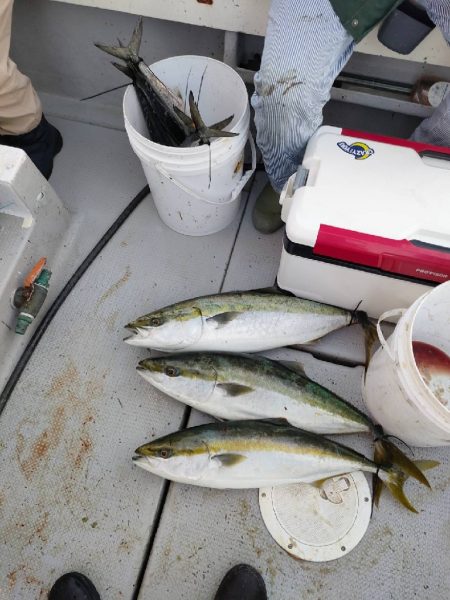 今季最後のライトジギング