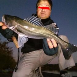 ナイトシーバスをキャッチ！