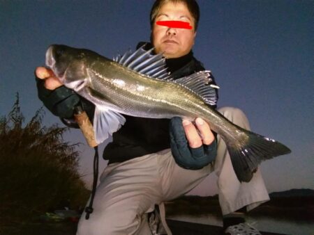 ナイトシーバスをキャッチ！