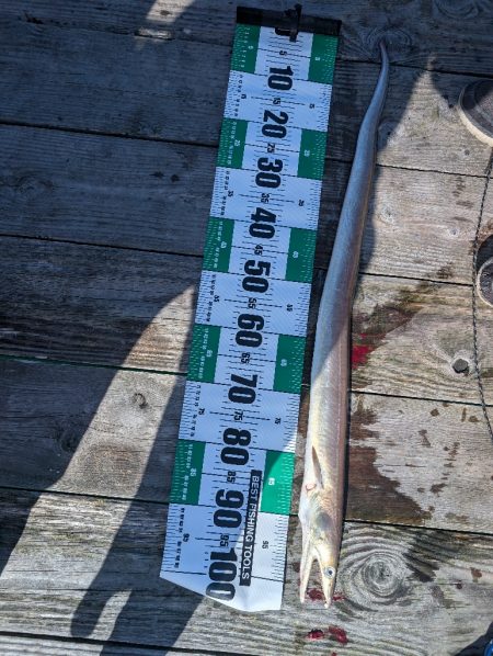 エレベーター式飲ませ釣り