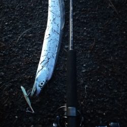 地合いは40分くらい