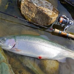 なんとか６０オーバーをキャッチ