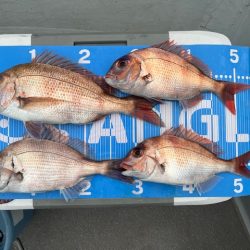 雨の中で一つテンヤ頑張りました