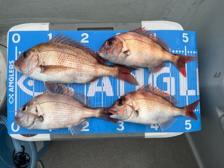 雨の中で一つテンヤ頑張りました