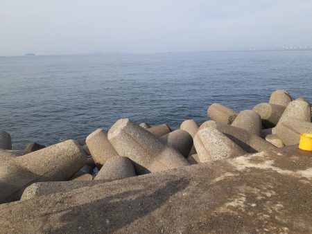 去年ぶりのキバ族