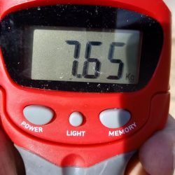 2025秋の青物シーズン開幕③