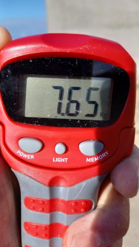 2025秋の青物シーズン開幕③