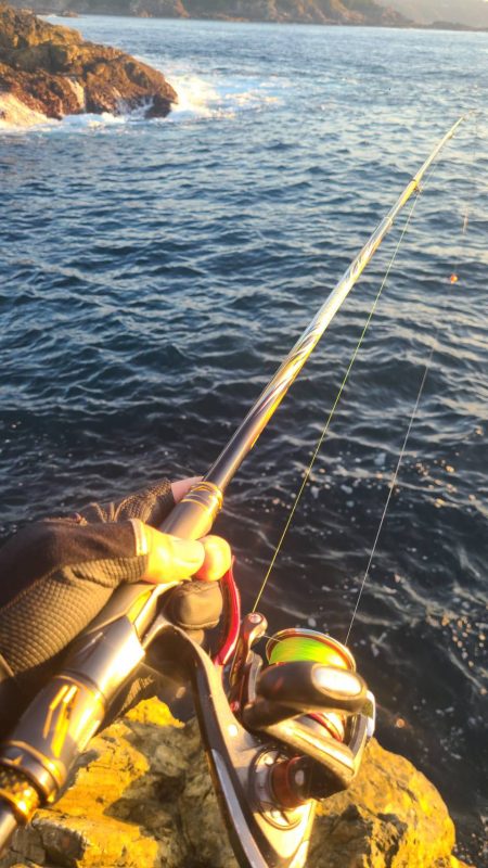 和歌山串本出雲でグレ釣り大会