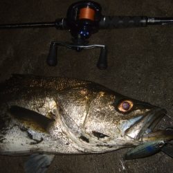 久々のベイトシーバス