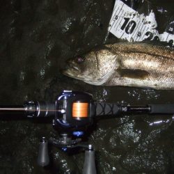 厳しい状況の中