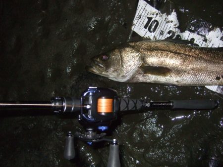 厳しい状況の中