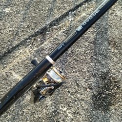 サビキ釣りでしか