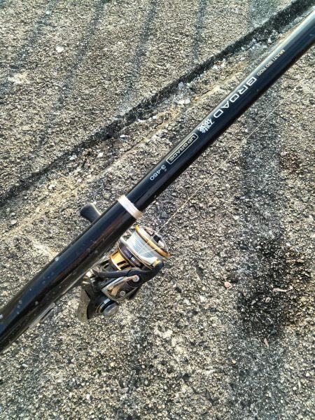 サビキ釣りでしか