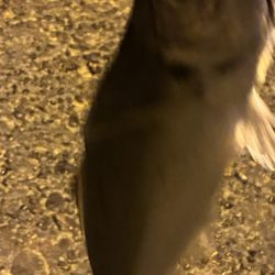 昼渋すぎ、夕方から激アツ