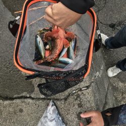 さびきでオニカサゴ