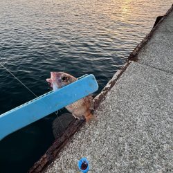 冬の時期スタート！