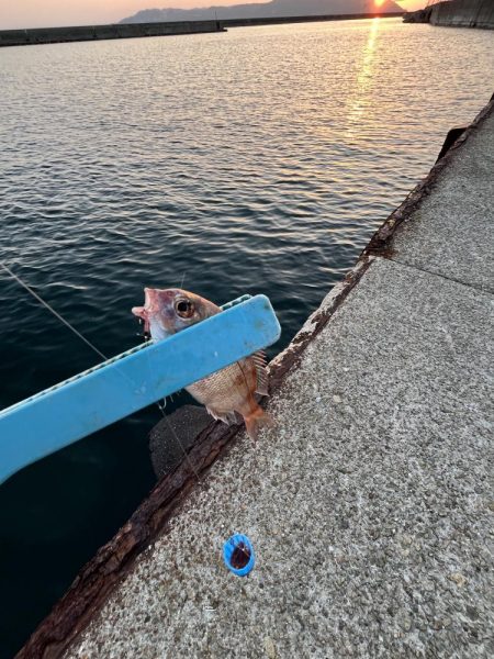 冬の時期スタート！