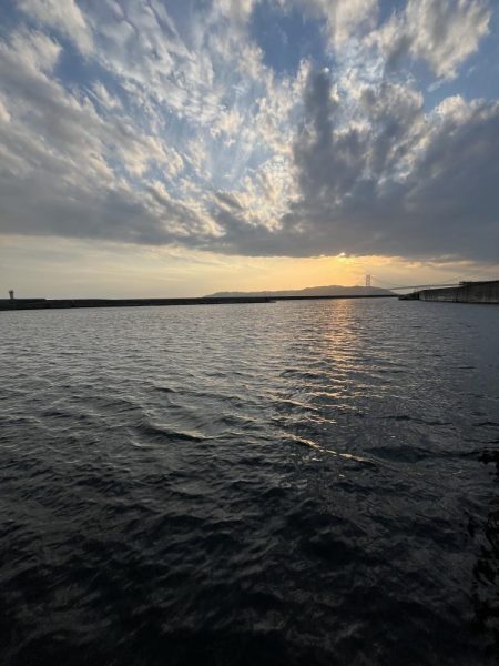 サビキも終盤？！