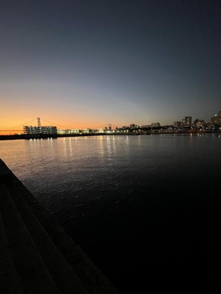 サビキギリギリ行けそう